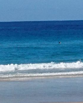 Surfing