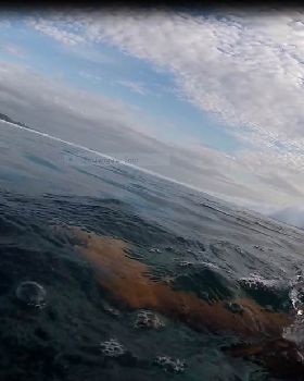 surfing 1