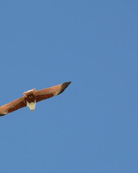 P1020079