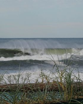 DSC00417