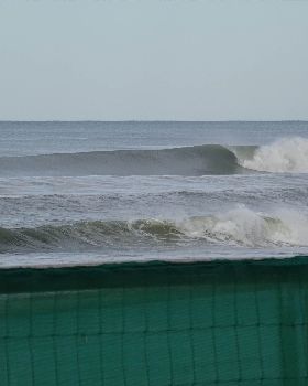 DSC00437