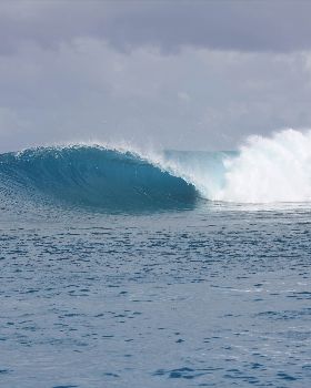 Surfing