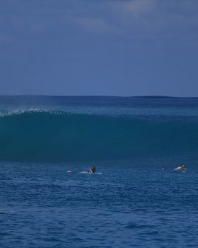 Surfing