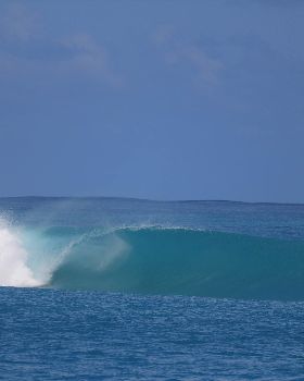 Surfing