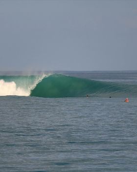 Surfing