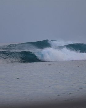 Surfing