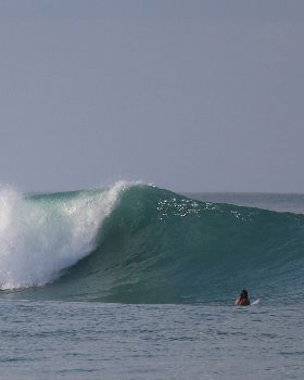 Surfing