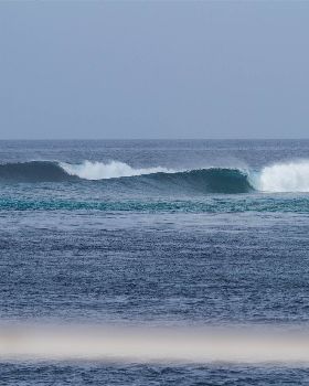 Surfing