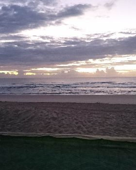 Surfing