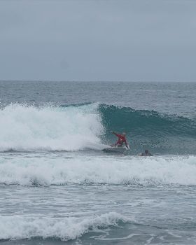 DSC08520