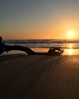 Surfing