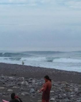 Surfing