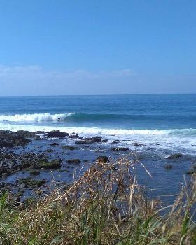 Surfing