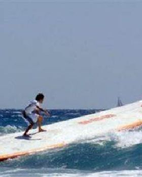 c0bd3e60t surfboard
