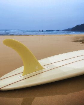 Surfing