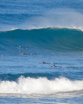 Surfing