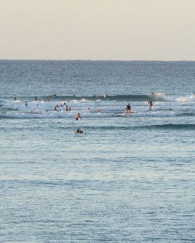 Surfing