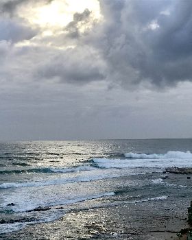 Surfing