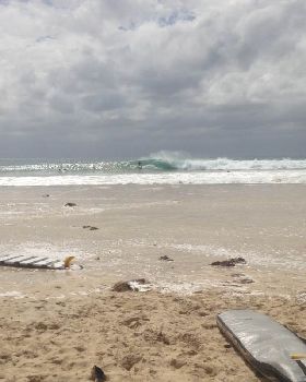 Surfing