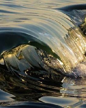 Surfing