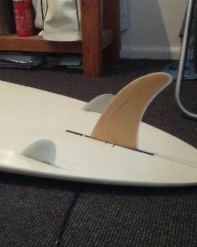 fins -