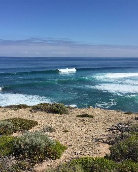 Surfing