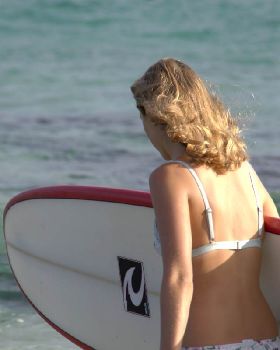 DSC02623 v1