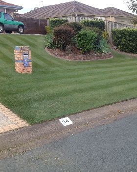 The front lawn