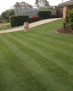 The front lawn