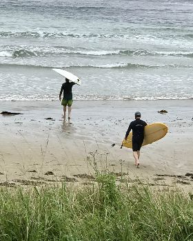 Surfing