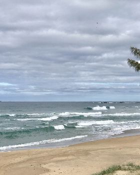 Surfing