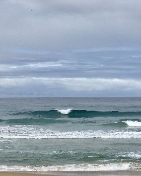 Surfing