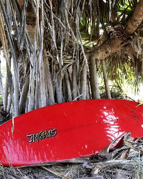 Surfing