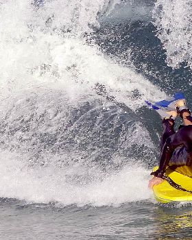 Trigg