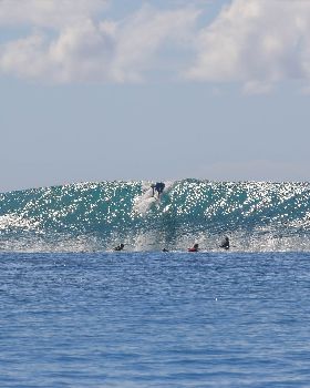 Surfing