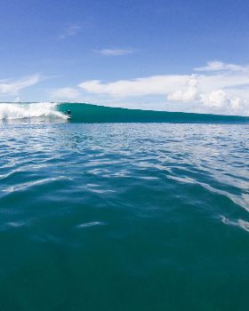 Surfing