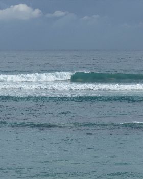 Wave