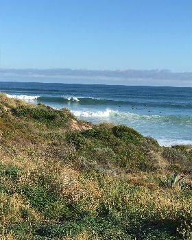 Surfing