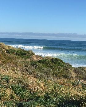 Surfing