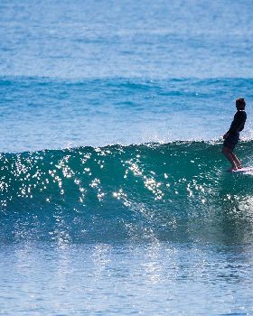 LetThemLog Josh Full TBD