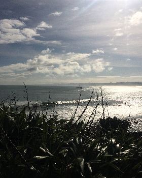 Surfing