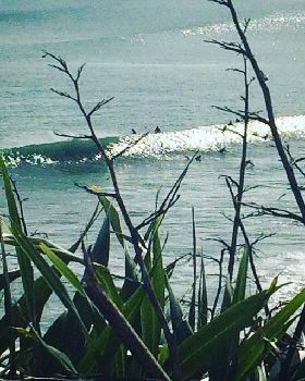 Surfing