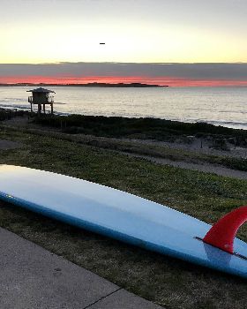 Surfing