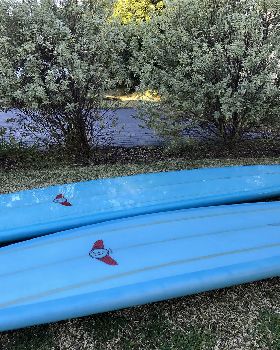 Surfing