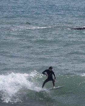 Whales and Surfers