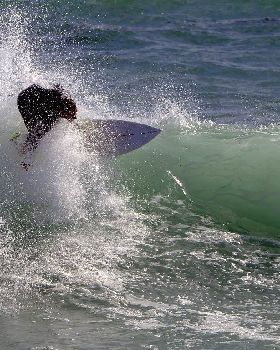Whales and Surfers