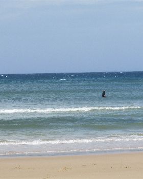 Surfing