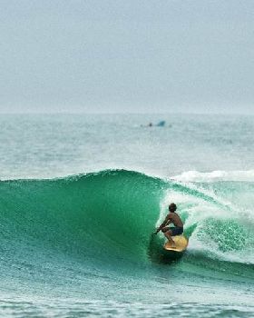 Surfing