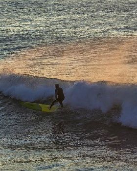  HDZ1101