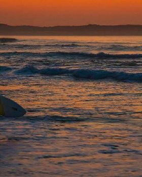 Surfing